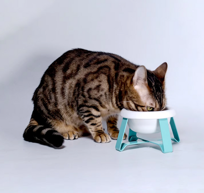 Elevated Dog Bowl – Stylish Bowl with Metal Stand