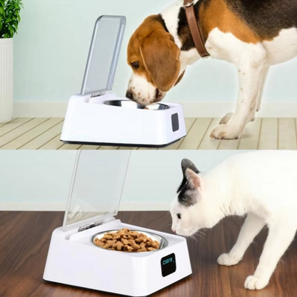 Automatic Cat Food Dispenser with Digital Display and Lid