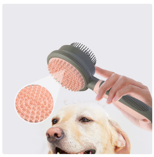 Cat Grooming Brush for Coat Care – Double-Sided Brush Head for Detangling