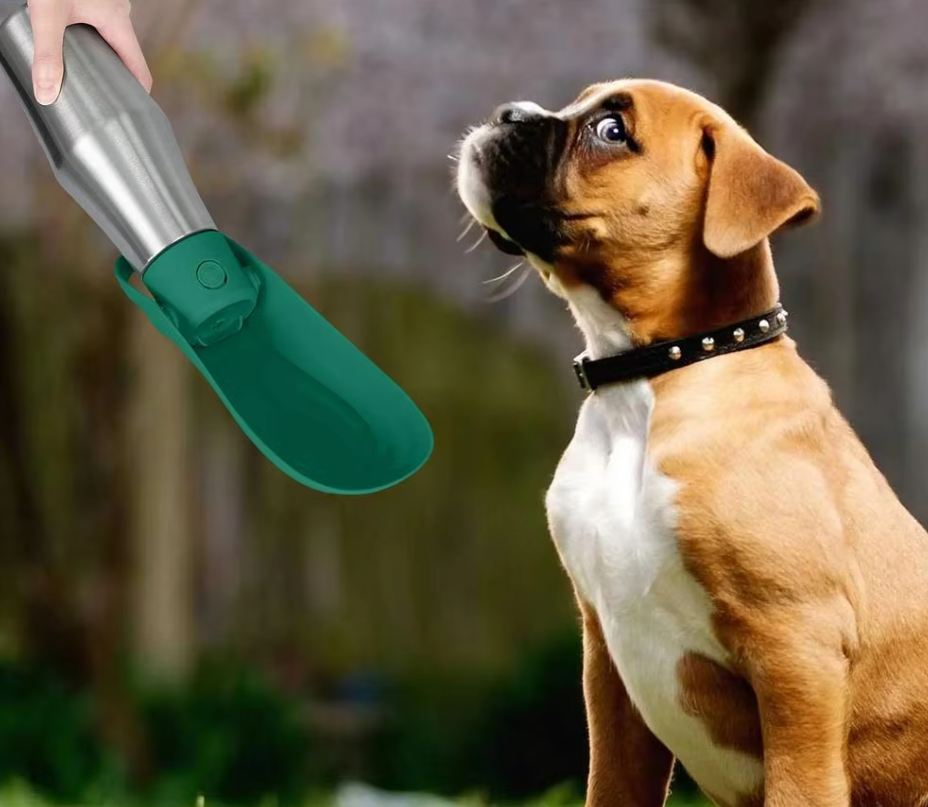 Stainless Steel Dog Water Bottle - Portable Water Dispenser with Collapsible Bowl