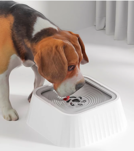 Anti-Spill Pet Bowl with Floating Water Plate to Prevent a Wet Muzzle