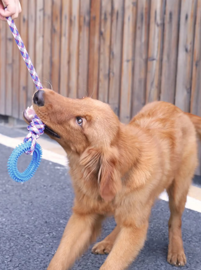 Durable Dog Toy with Teething Ring – Chew and Tug Rope Toy for Interactive Fun