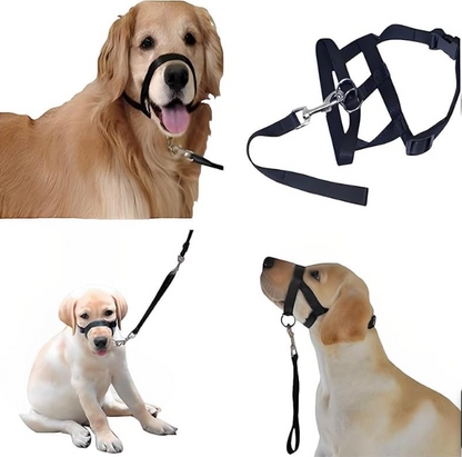 Adjustable Harness with Leash for Small and Medium-Sized Dogs