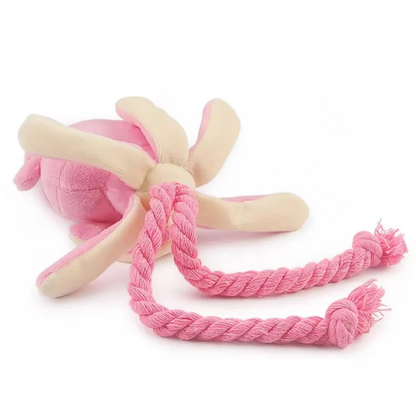 Multiple Interactive Chew Toys for Dogs