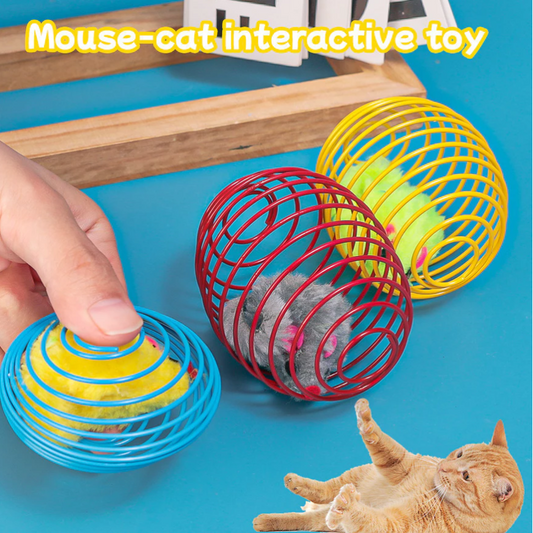 Mouse in a Spiral Cage - Prey Game for Cats