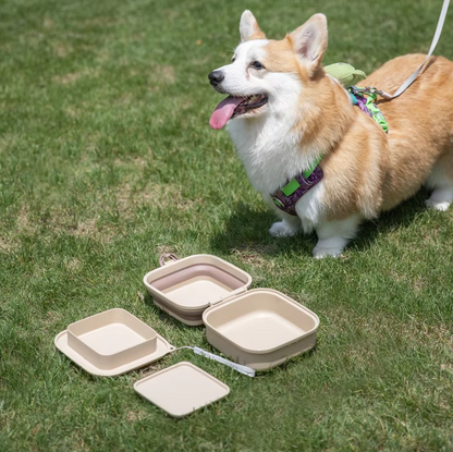 Silicone Pet Care Box – Practical Storage Container for Pet Supplies