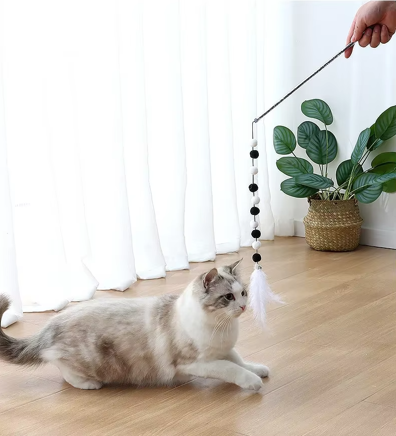 Interactive Cat Fishing Wand with Pom-Pom Feathers – A Fun Game for Curious Cats