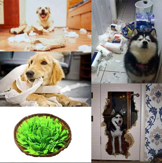 Snuffle Mat for Dogs - Develops Natural Food Searching Skills