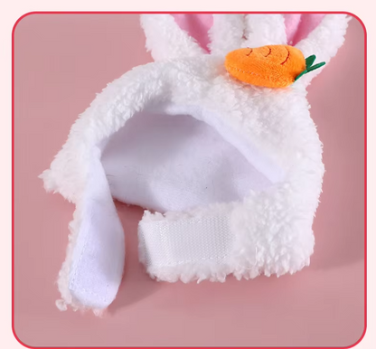 Cat Hat with Bunny Ears and Carrot or Flower Design for Adorable Companion Photos