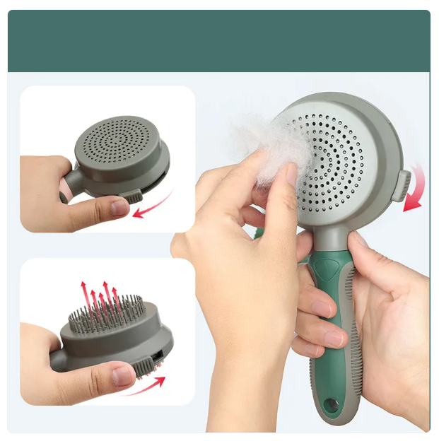 Cat Grooming Brush for Coat Care – Double-Sided Brush Head for Detangling