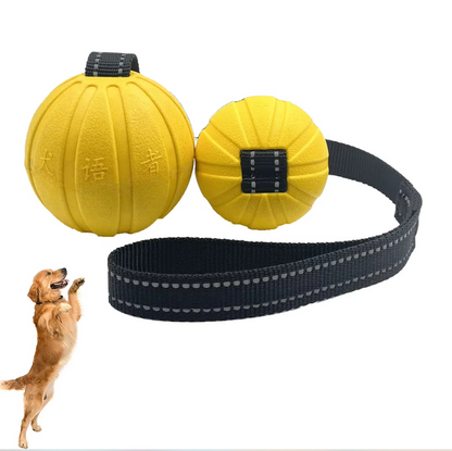 Interactive Bite Training Toy for Dogs – Durable Chewable Ball