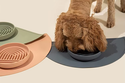 Slow Feeder Bowl for Dogs and Cats – Eat Slowly for Better Digestion