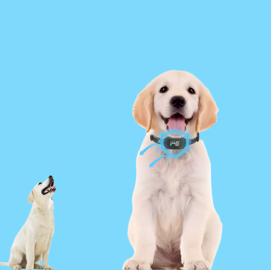 Dog Training Collar - 8 Sensitivity Levels, Vibration and Shock Modes