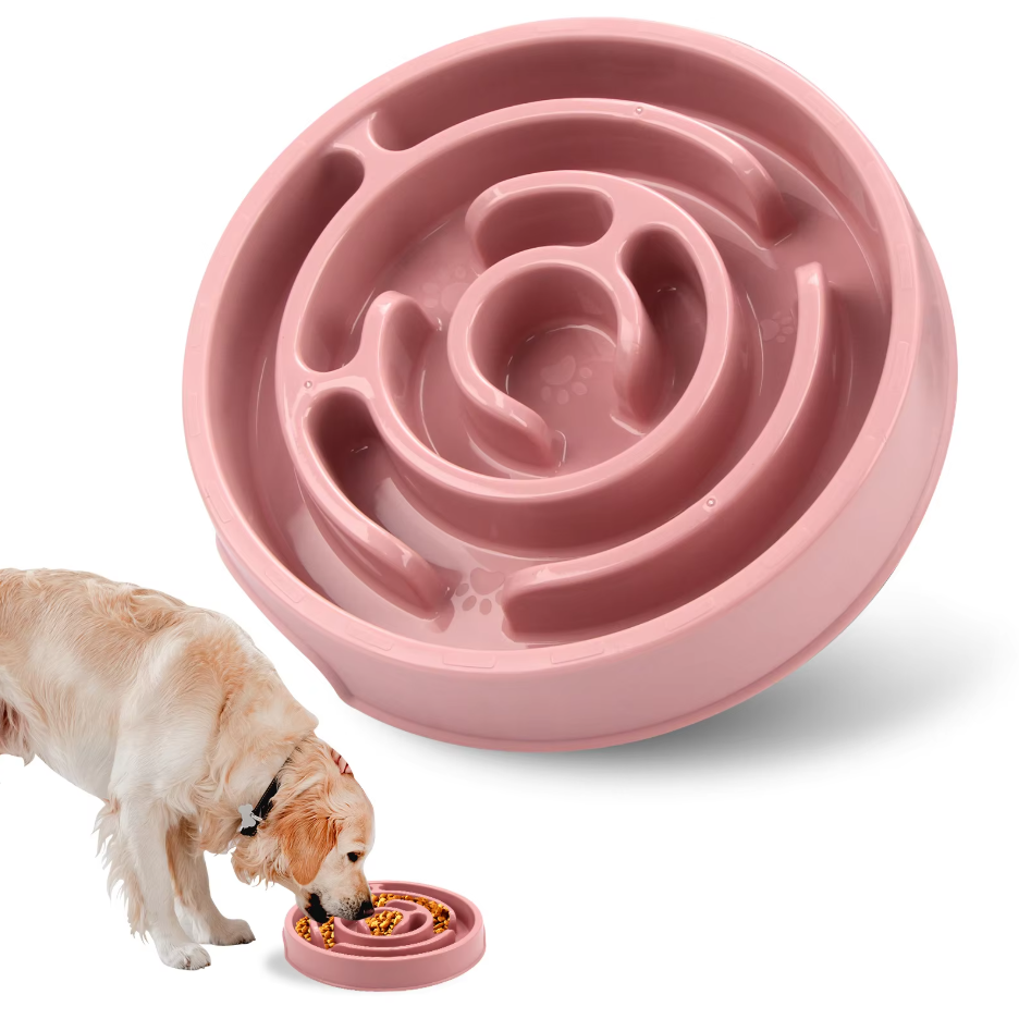 Slow Feed Bowl for Dogs