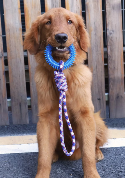 Durable Dog Toy with Teething Ring – Chew and Tug Rope Toy for Interactive Fun