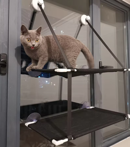 Cat Window - Compact and Stable with Suction Cup Feet