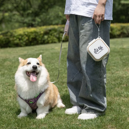 Silicone Pet Care Box – Practical Storage Container for Pet Supplies