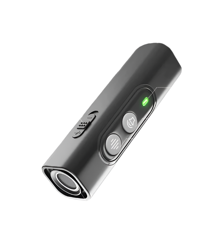 Portable Dog Trainer with Remote Control