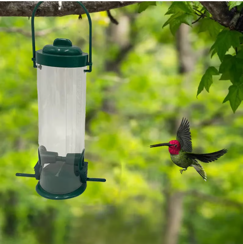 Squirrel-Resistant Bird Seed Feeder