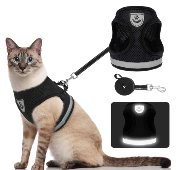 Harness For Cats With Leash