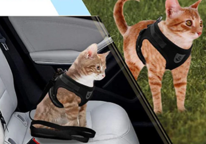 Harness For Cats With Leash