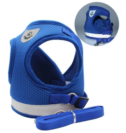 Harness For Cats With Leash