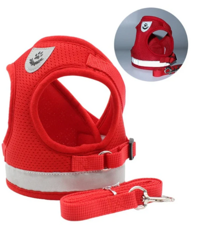 Harness For Cats With Leash