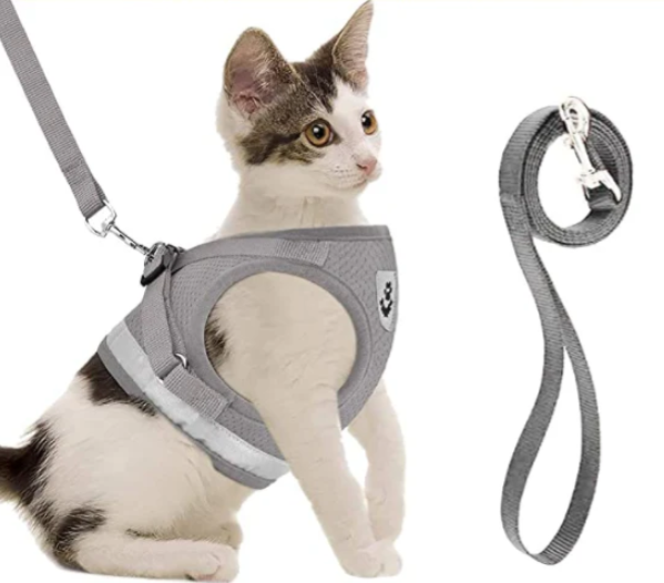 Harness For Cats With Leash