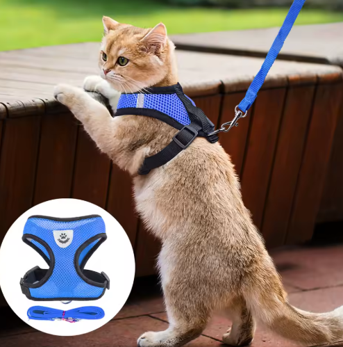 Harness For Cats With Leash