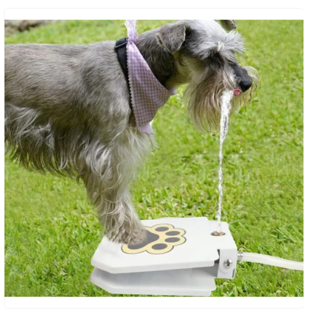 Outdoor Water Bowl for Dogs, Kick-Resistant, with Water Connection and Paw Activation