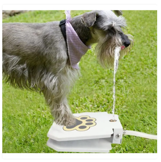 Outdoor Water Bowl for Dogs, Kick-Resistant, with Water Connection and Paw Activation
