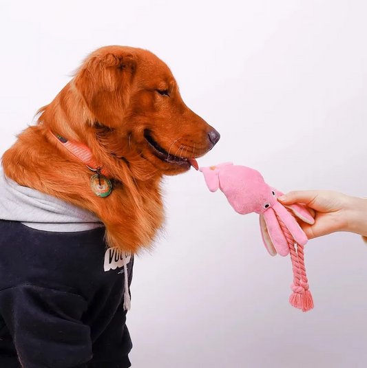 Multiple Interactive Chew Toys for Dogs