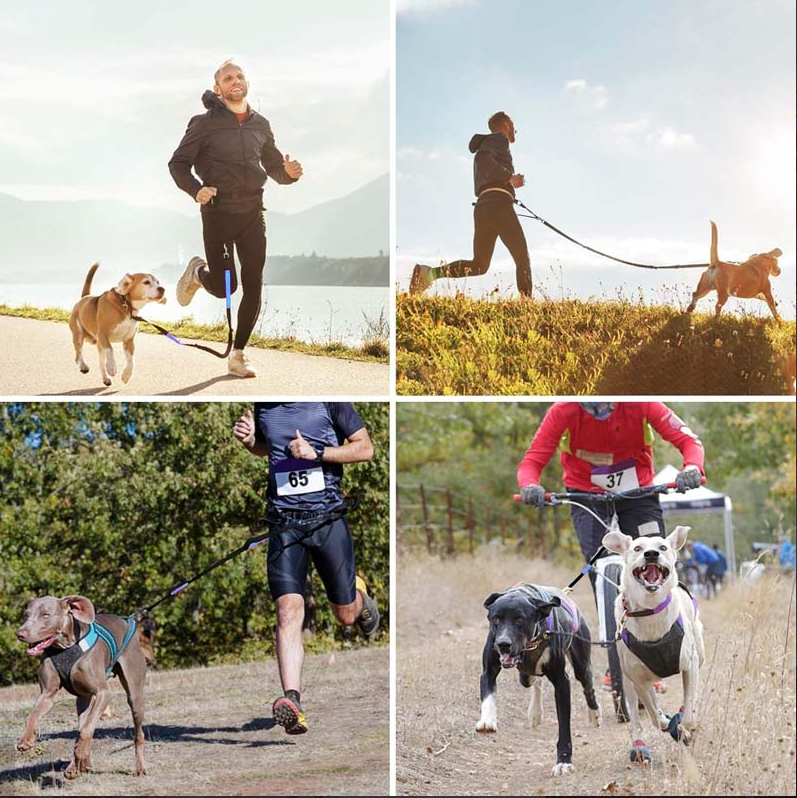 Hands-Free Dog Leash with Front Pocket