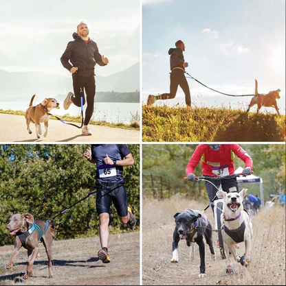 Hands-Free Dog Leash with Front Pocket