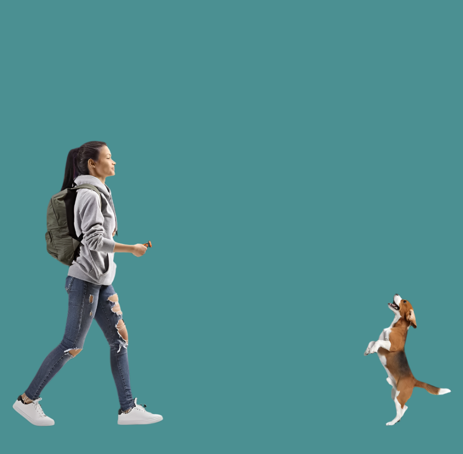 Dog Training Device with Sound and Light Function