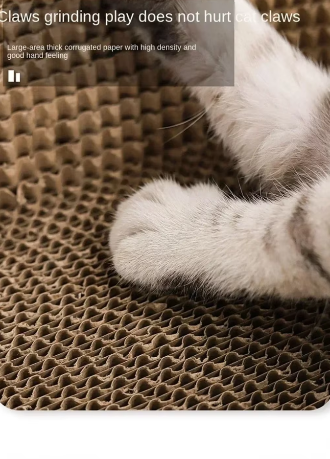 Scratch-resistant Cat Tray - Durable Scratching Mat with Large Comfort Area