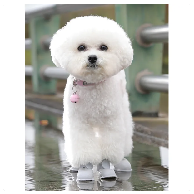 Waterproof Silicone Foot Massager Brush for Home and Travel