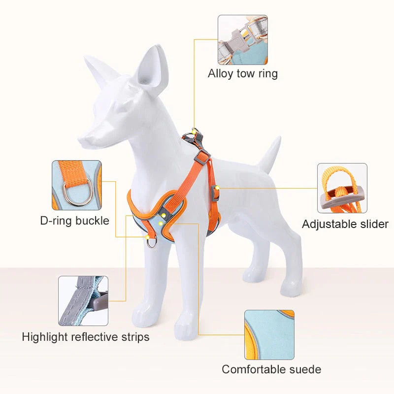 Reflective Dog Harness Set