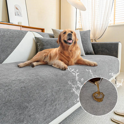Modern and Eco-Friendly Solution for Scratch Protection