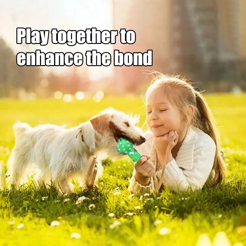 Dog Chew Ball Toys – Durable Bite Aid for Dental Health and Fresh Breath