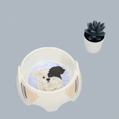 Ceramic Dog Bowl - Food and Water Bowl for Dogs
