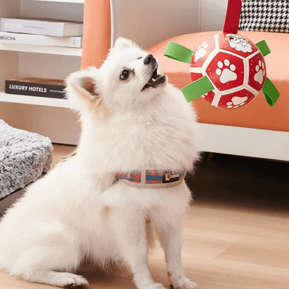 Interactive Ball Dog Toy – with Nylon Rope and Handles