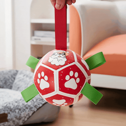 Interactive Ball Dog Toy – with Nylon Rope and Handles