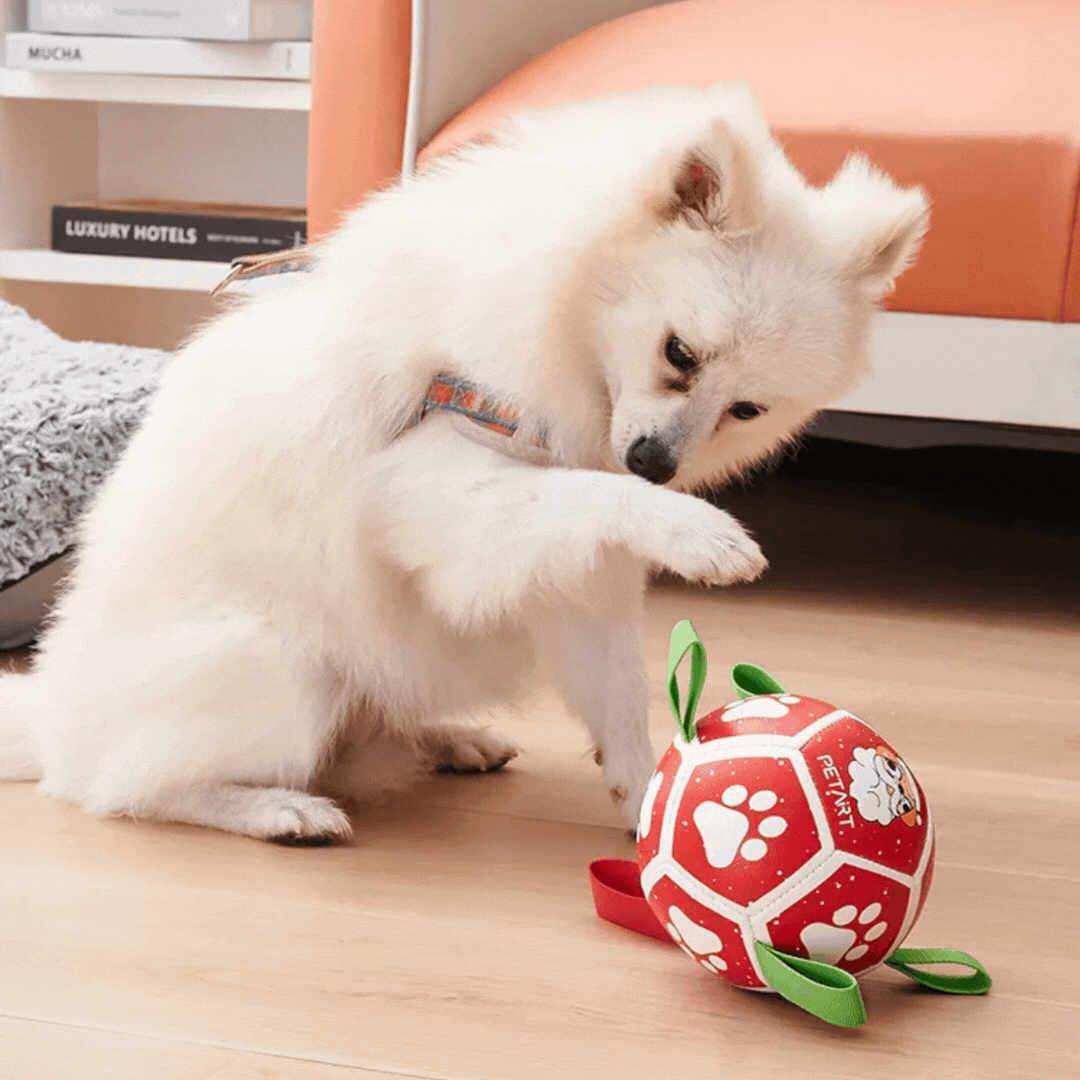 Interactive Ball Dog Toy – with Nylon Rope and Handles