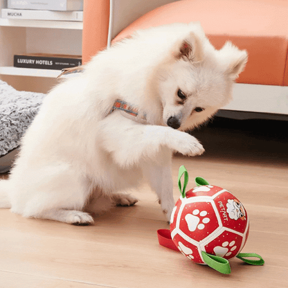 Interactive Ball Dog Toy – with Nylon Rope and Handles