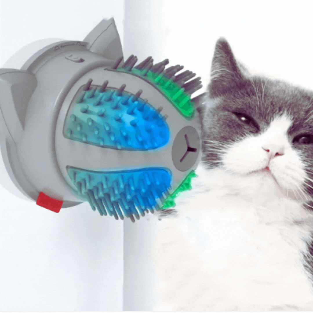 Self-Grooming Electric Cat Brush with Catnip Compartment and Dual Power Supply