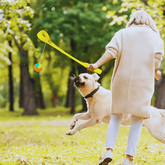 Toys with Ball and String – Interactive Throwing Kit for Children
