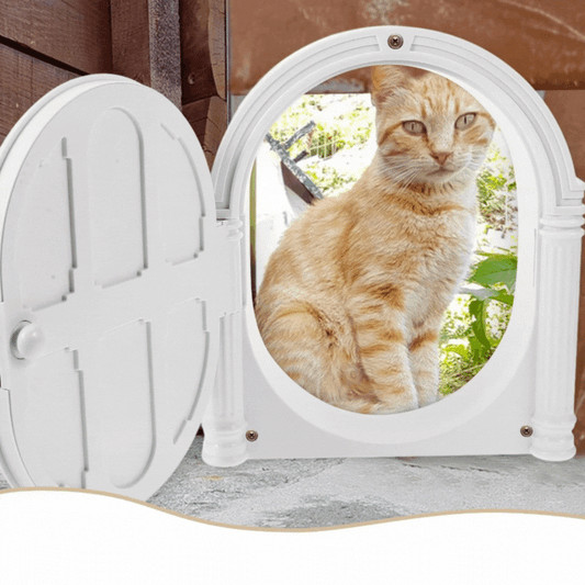 Decorative Entrance Door with Classic Design - Toy for Small Animals