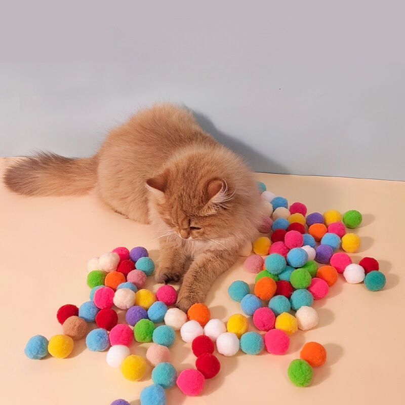 Toy Cannon for Cats