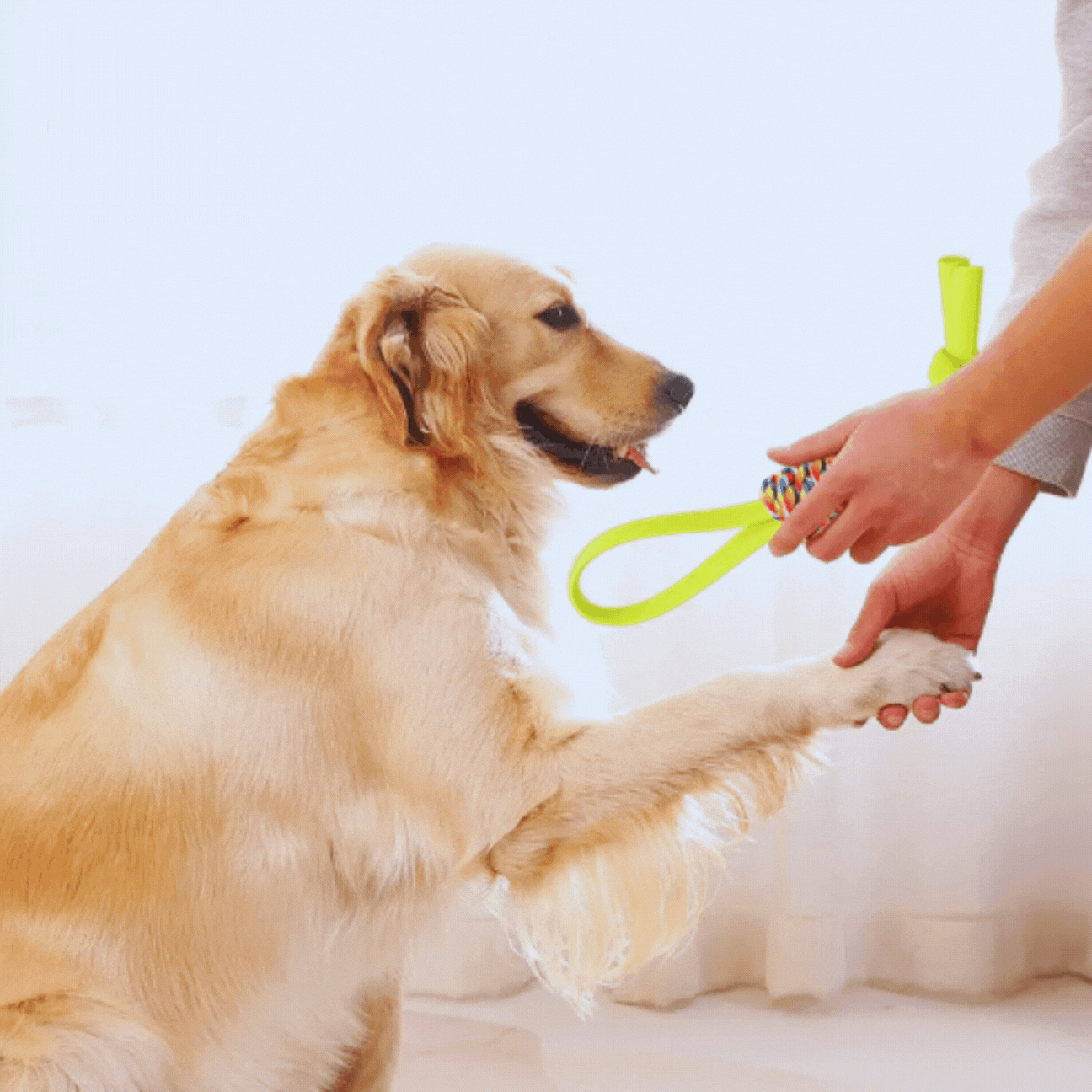 Dog Rope Toys – Colorful Tug and Chew Rope for Play – Aussie Pet